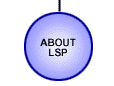 ABOUT LSP